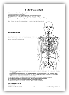 Touch for Health Zentralgefaess